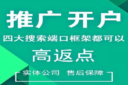 解析sem代运营公司经典案例：如何实现ROI最大化